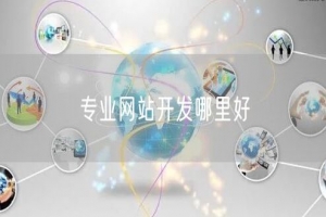 专业网站开发哪里好