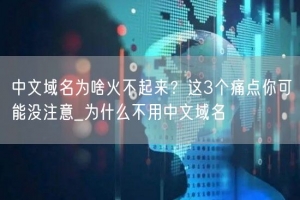 中文域名为啥火不起来？这3个痛点你可能没注意_为什么不用中文域名